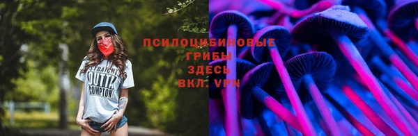2c-b Касимов