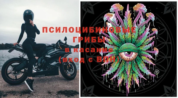 apvp Карпинск