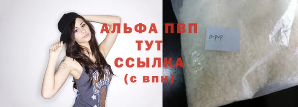 apvp Карпинск