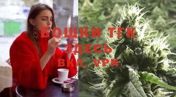 apvp Карпинск