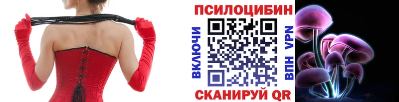 Галлюциногенные грибы Psilocybine cubensis  Купить  Березники 